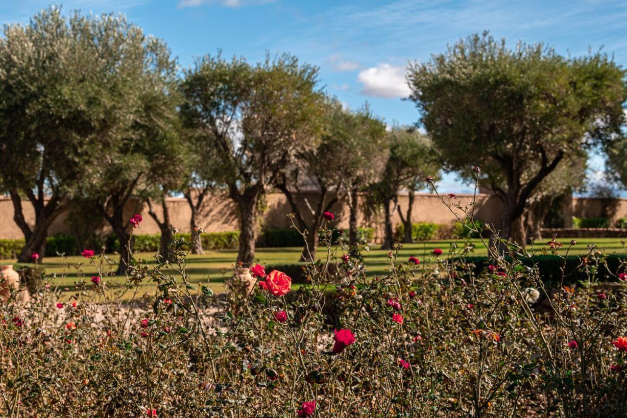 לינה וארוחת בוקר מרקש Le Palais Paysan מראה חיצוני תמונה