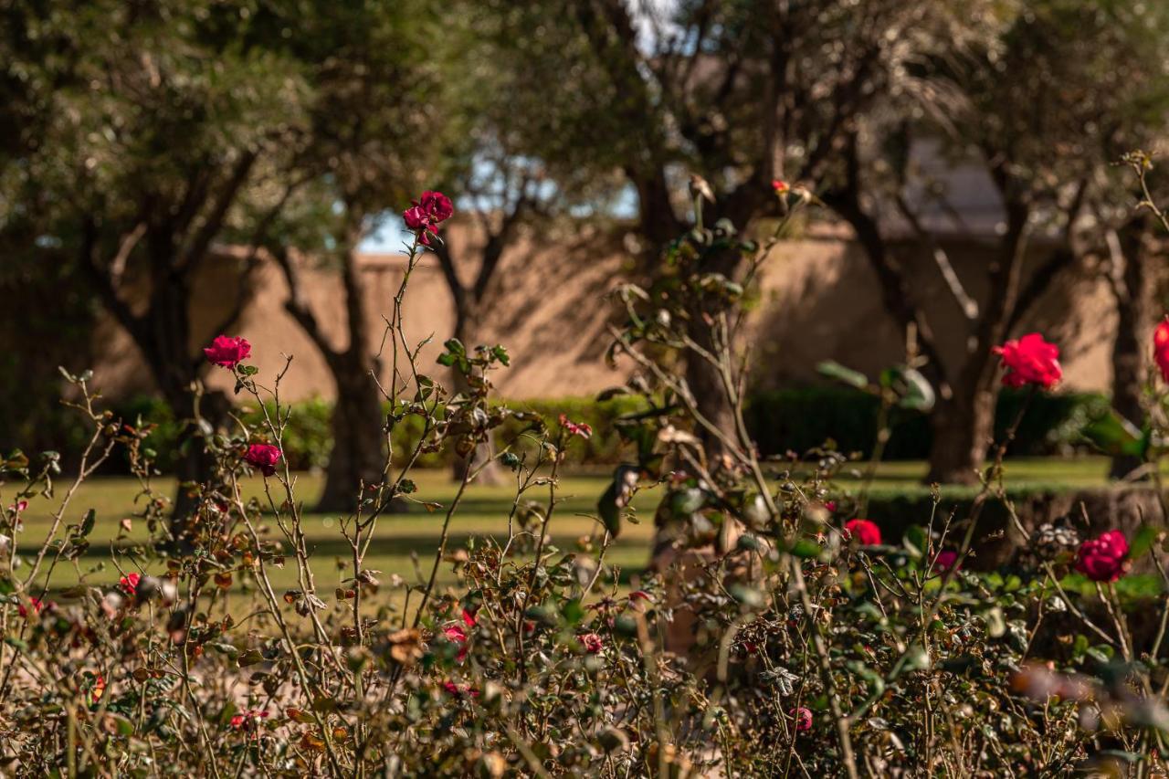 לינה וארוחת בוקר מרקש Le Palais Paysan מראה חיצוני תמונה